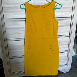 NWT Mustard Banana Republic Dress size 0